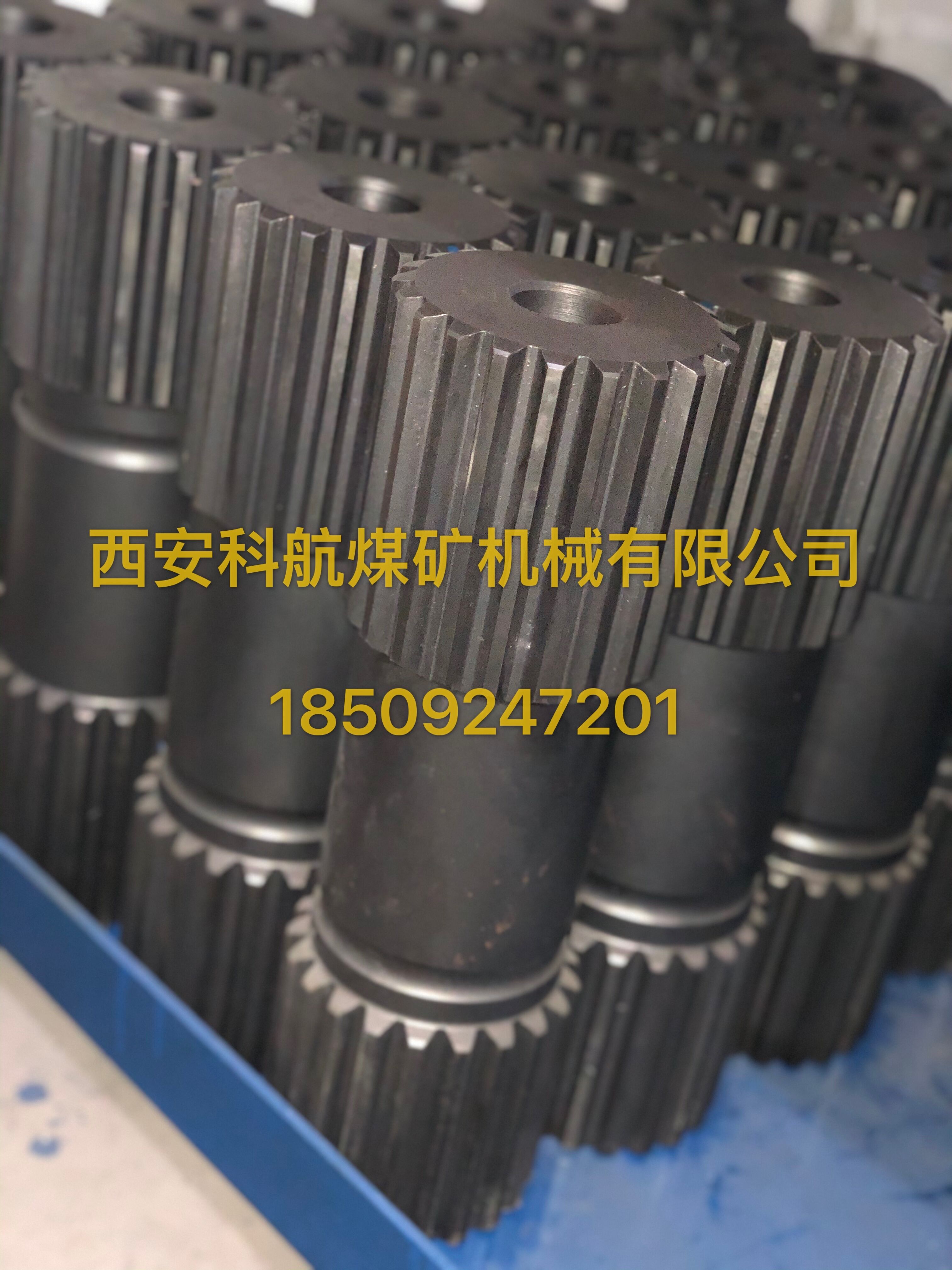 �c���鿴Ԕ��